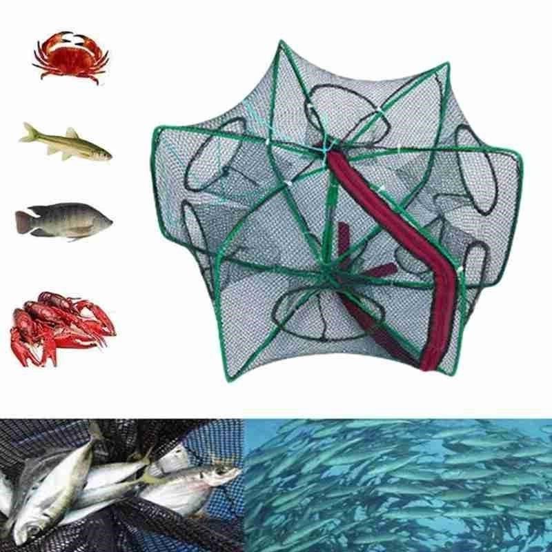 Ortable 20*40cm plasă de pescuit pliabilă plasă deschisă momeli cușcă în  aer liber creveți accesorii plasă cușcă pentru pescuit plasă pliabilă ~  Plase de pescuit ~ Bătrân Pescar